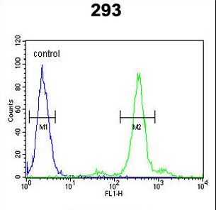 PGD Antibody - PGD Antibody flow cytometry of 293 cells (right histogram) compared to a negative control cell (left histogram). FITC-conjugated goat-anti-rabbit secondary antibodies were used for the analysis.