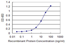 PGIS / PTGIS Antibody - Detection limit for recombinant GST tagged PTGIS is 0.3 ng/ml as a capture antibody.