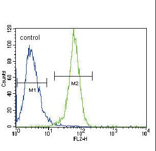 PGK1 / Phosphoglycerate Kinase Antibody - PGK1 Antibody flow cytometry of HeLa cells (right histogram) compared to a negative control cell (left histogram). FITC-conjugated goat-anti-rabbit secondary antibodies were used for the analysis.