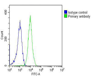 PGK1 / Phosphoglycerate Kinase Antibody - Overlay histogram showing Jurkat cells stained with PGK1 Antibody (green line). The cells were fixed with 2% paraformaldehyde (10 min) and then permeabilized with 90% methanol for 10 min. The cells were then icubated in 2% bovine serum albumin to block non-specific protein-protein interactions followed by the antibody (PGK1 Antibody, 1:25 dilution) for 60 min at 37°C. The secondary antibody used was Goat-Anti-Mouse IgG, DyLight® 488 Conjugated Highly Cross-Adsorbed (OJ192088) at 1/200 dilution for 40 min at 37°C. Isotype control antibody (blue line) was mouse IgG2a (1µg/1x10^6 cells) used under the same conditions. Acquisition of >10, 000 events was performed.