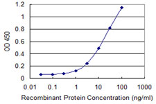 PGM1 / Phosphoglucomutase 1 Antibody - Detection limit for recombinant GST tagged PGM1 is 0.3 ng/ml as a capture antibody.