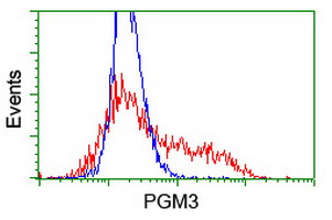 PGM3 Antibody - HEK293T cells transfected with either overexpress plasmid (Red) or empty vector control plasmid (Blue) were immunostained by anti-PGM3 antibody, and then analyzed by flow cytometry.