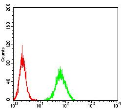 PGRMC1 / MPR Antibody - Flow cytometric analysis of A549 cells using PGRMC1 mouse mAb (green) and negative control (red).