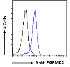 PGRMC2 Antibody - Goat Anti-PGRMC2 Antibody Flow cytometric analysis of paraformaldehyde fixed HeLa cells (blue line), permeabilized with 0.5% Triton. Primary incubation 1hr (10ug/ml) followed by Alexa Fluor 488 secondary antibody (1ug/ml). IgG control: Unimmunized goat IgG (black line) followed by Alexa Fluor 488 secondary antibody.