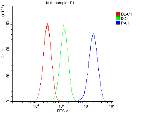PH / PAH Antibody - Flow Cytometry analysis of HepG2 cells using anti-PAH antibody. Overlay histogram showing HepG2 cells stained with anti-PAH antibody (Blue line). The cells were blocked with 10% normal goat serum. And then incubated with rabbit anti-PAH Antibody (1µg/10E6 cells) for 30 min at 20°C. DyLight®488 conjugated goat anti-rabbit IgG (5-10µg/10E6 cells) was used as secondary antibody for 30 minutes at 20°C. Isotype control antibody (Green line) was rabbit IgG (1µg/10E6 cells) used under the same conditions. Unlabelled sample (Red line) was also used as a control.