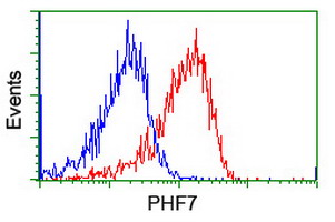 PHF7 Antibody - Flow cytometry of Jurkat cells, using anti-PHF7 antibody (Red), compared to a nonspecific negative control antibody (Blue).