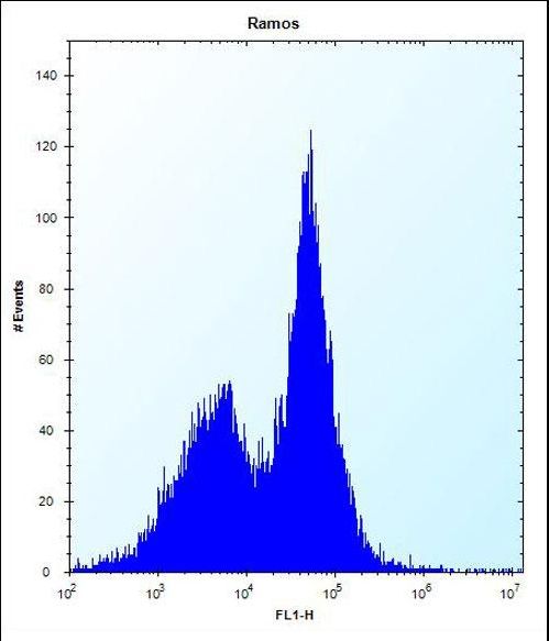 PHKG1 Antibody - Mouse Phkg1 Antibody flow cytometry of Ramos cells (right histogram) compared to a negative control cell (left histogram). FITC-conjugated donkey-anti-rabbit secondary antibodies were used for the analysis.