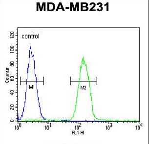 PHLPP2 / PHLPPL Antibody - PHLPP2 Antibody flow cytometry of MDA-MB231 cells (right histogram) compared to a negative control cell (left histogram). FITC-conjugated goat-anti-rabbit secondary antibodies were used for the analysis.