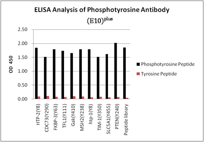 Phosphotyrosine Antibody - ELISA analysis of various phosphotyrosine peptides and corresponding non-phosphorylated peptides with THE TM Phosphotyrosine Antibody (E10). Results demonstrate the antibody has excellent recognition of different phosphotyrosine peptides and no cross-reactivity with non-phosphorylated peptides.