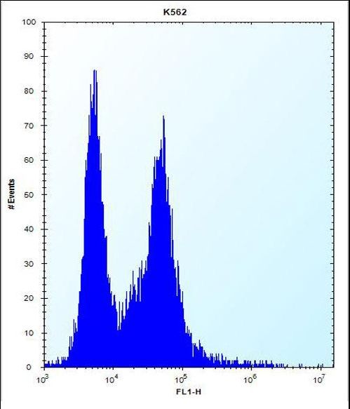 PI15 Antibody - PI15 Antibody flow cytometry of K562 cells (right histogram) compared to a negative control cell (left histogram). FITC-conjugated donkey-anti-rabbit secondary antibodies were used for the analysis.
