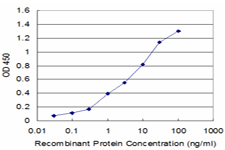 PI15 Antibody - Detection limit for recombinant GST tagged PI15 is approximately 0.1 ng/ml as a capture antibody.