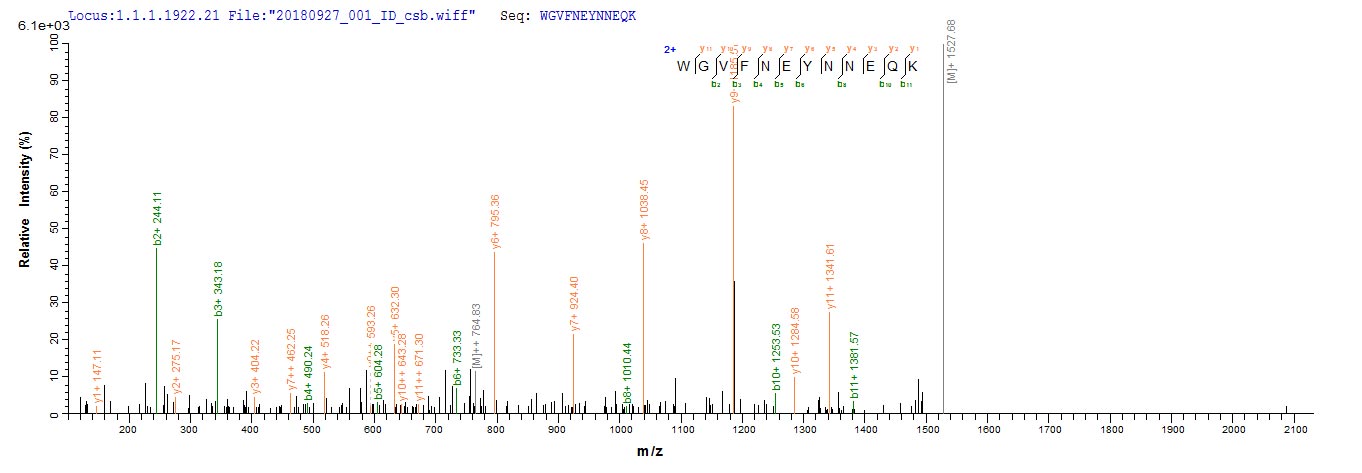 GOB5 / CLCA1 Protein - Based on the SEQUEST from database of E.coli host and target protein, the LC-MS/MS Analysis result of Recombinant Pig Calcium-activated chloride channel regulator 1(CLCA1),partial could indicate that this peptide derived from E.coli-expressed Sus scrofa (Pig) CLCA1.