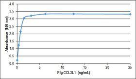 LD78 / CCL3L1 Protein - Recombinant Pig CCL3L1 detected using Rabbit anti Pig CCL3L1 as the capture reagent and biotinylated Rabbit anti Pig CCL3L1:Biotin as the detection reagent followed by Streptavidin:HRP.