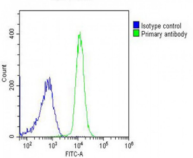 PIGC Antibody - Overlay histogram showing K562 cells stained with PIGC Antibody (C-Term) (green line). The cells were fixed with 2% paraformaldehyde (10 min). The cells were then icubated in 2% bovine serum albumin to block non-specific protein-protein interactions followed by the antibody (PIGC Antibody (C-Term), 1:25 dilution) for 60 min at 37°C. The secondary antibody used was Goat-Anti-Rabbit IgG, DyLight® 488 Conjugated Highly Cross-Adsorbed at 1/200 dilution for 40 min at 37°C. Isotype control antibody (blue line) was rabbit IgG (1µg/1x10^6 cells) used under the same conditions. Acquisition of >10, 000 events was performed.
