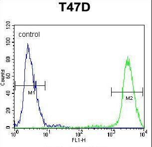 PIGM Antibody - PIGM Antibody flow cytometry of T47D cells (right histogram) compared to a negative control cell (left histogram). FITC-conjugated goat-anti-rabbit secondary antibodies were used for the analysis.
