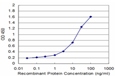 PIGQ Antibody - Detection limit for recombinant GST tagged PIGQ is approximately 0.1 ng/ml as a capture antibody.