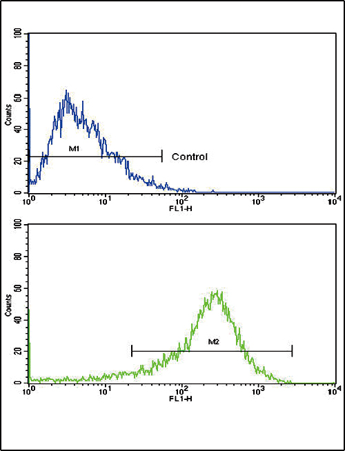 PIGR Antibody - Flow cytometric of HepG2 cells using PIGR Antibody (bottom histogram) compared to a negative control cell (top histogram). FITC-conjugated goat-anti-rabbit secondary antibodies were used for the analysis.