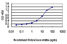 PIH1D1 Antibody - Detection limit for recombinant GST tagged FLJ20643 is approximately 0.1 ng/ml as a capture antibody.