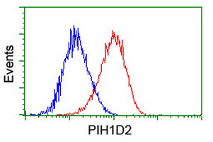 PIH1D2 Antibody - Flow cytometry of HeLa cells, using anti-PIH1D2 antibody (Red), compared to a nonspecific negative control antibody (Blue).