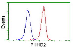 PIH1D2 Antibody - Flow cytometry of Jurkat cells, using anti-PIH1D2 antibody (Red), compared to a nonspecific negative control antibody (Blue).
