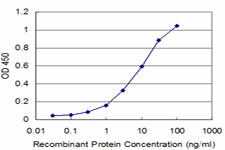 PIK3CA / PI3K Alpha Antibody - Detection limit for recombinant GST tagged PIK3CA is approximately 1 ng/ml as a capture antibody.