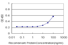 PIK3CG / PI3K Gamma Antibody - Detection limit for recombinant GST tagged PIK3CG is approximately 10 ng/ml as a capture antibody.