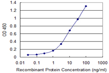PIK3R1 / p85 Alpha Antibody - Detection limit for recombinant GST tagged PIK3R1 is 0.1 ng/ml as a capture antibody.