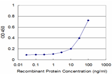 PIK4CB / PI4KB Antibody - Detection limit for recombinant GST tagged PIK4CB is approximately 3 ng/ml as a capture antibody.