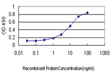 PIKFYVE / PIP5K Antibody - Detection limit for recombinant GST tagged PIP5K3 is approximately 0.3 ng/ml as a capture antibody.