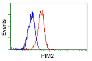 PIM2 / Pim-2 Antibody - Flow cytometry of Jurkat cells, using anti-PIM2 antibody, (Red), compared to a nonspecific negative control antibody, (Blue).