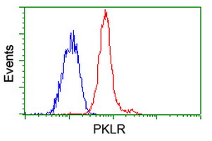 PKLR Antibody - Flow cytometry of Jurkat cells, using anti-PKLR antibody, (Red), compared to a nonspecific negative control antibody, (Blue).