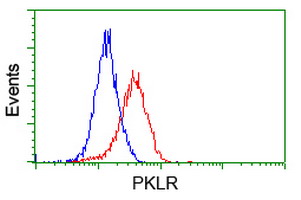 PKLR Antibody - Flow cytometry of Jurkat cells, using anti-PKLR antibody, (Red), compared to a nonspecific negative control antibody, (Blue).