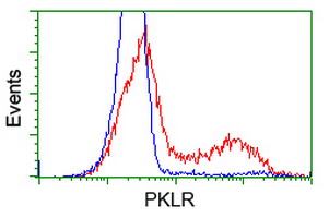 PKLR Antibody - HEK293T cells transfected with either overexpress plasmid (Red) or empty vector control plasmid (Blue) were immunostained by anti-PKLR antibody, and then analyzed by flow cytometry.