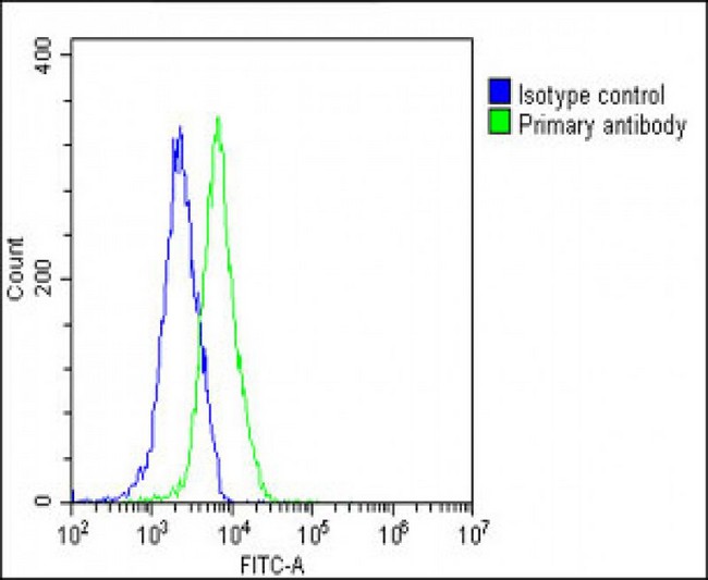 PKN1 Antibody - Overlay histogram showing Hela cells stained with PKN1 Antibody (C-Term) (green line). The cells were fixed with 2% paraformaldehyde (10 min) and then permeabilized with 90% methanol for 10 min. The cells were then icubated in 2% bovine serum albumin to block non-specific protein-protein interactions followed by the antibody (PKN1 Antibody (C-Term), 1:25 dilution) for 60 min at 37°C. The secondary antibody used was Goat-Anti-Rabbit IgG, DyLight® 488 Conjugated Highly Cross-Adsorbed (OE188374) at 1/200 dilution for 40 min at 37°C. Isotype control antibody (blue line) was rabbit IgG1 (1µg/1x10^6 cells) used under the same conditions. Acquisition of >10, 000 events was performed.