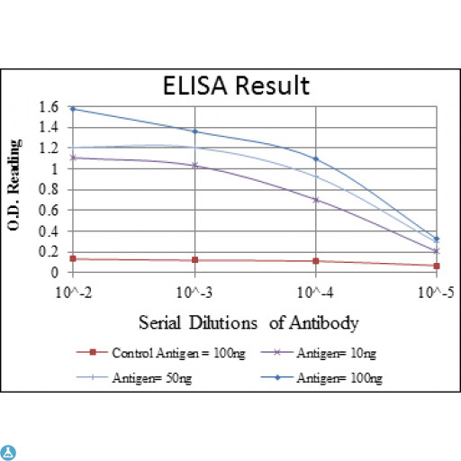 PKN2 Antibody - ELISA analysis of PRK2 antibody.