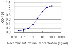 PLA2G10 Antibody - Detection limit for recombinant GST tagged PLA2G10 is 0.03 ng/ml as a capture antibody.