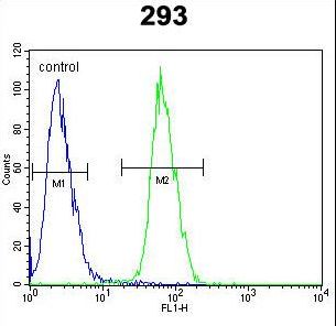 PLA2G1B Antibody - PLA2G1B Antibody flow cytometry of 293 cells (right histogram) compared to a negative control cell (left histogram). FITC-conjugated goat-anti-rabbit secondary antibodies were used for the analysis.