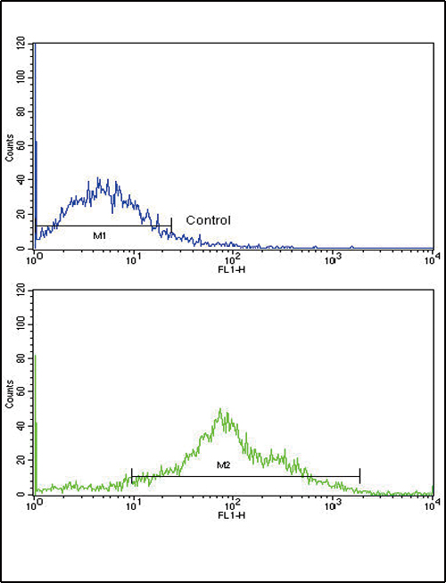 PLA2G4A Antibody - Flow cytometric of NCI-H292 cells using PLA2G4A Antibody (bottom histogram) compared to a negative control cell (top histogram). FITC-conjugated goat-anti-rabbit secondary antibodies were used for the analysis.