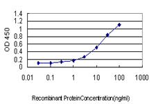 PLA2G4A Antibody - Detection limit for recombinant GST tagged PLA2G4A is approximately 0.3 ng/ml as a capture antibody.