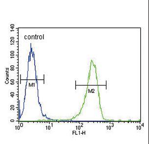 PLAT / TPA Antibody - TPA Antibody ? flow cytometry of A2058 cells (right histogram) compared to a negative control cell (left histogram). FITC-conjugated goat-anti-rabbit secondary antibodies were used for the analysis.