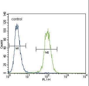 PLAU / Urokinase / uPA Antibody - Urokinase (PLAU) Antibody flow cytometry of A2058 cells (right histogram) compared to a negative control cell (left histogram). FITC-conjugated goat-anti-rabbit secondary antibodies were used for the analysis.