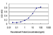 PLAU / Urokinase / uPA Antibody - Detection limit for recombinant GST tagged PLAU is approximately 0.1 ng/ml as a capture antibody.
