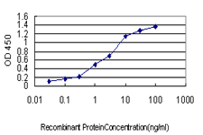 PLCG1 Antibody - Detection limit for recombinant GST tagged PLCG1 is approximately 0.1 ng/ml as a capture antibody.