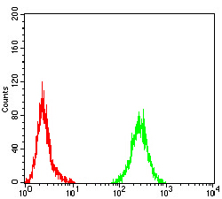 PLCG1 Antibody - Flow cytometric analysis of Hela cells using PLCG1 mouse mAb (green) and negative control (red).