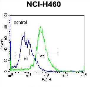 PLCL2 Antibody - PLCL2 Antibody flow cytometry of NCI-H460 cells (right histogram) compared to a negative control cell (left histogram). FITC-conjugated donkey-anti-rabbit secondary antibodies were used for the analysis.