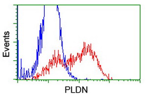 PLDN / Pallidin Antibody - HEK293T cells transfected with either overexpress plasmid (Red) or empty vector control plasmid (Blue) were immunostained by anti-PLDN antibody, and then analyzed by flow cytometry.