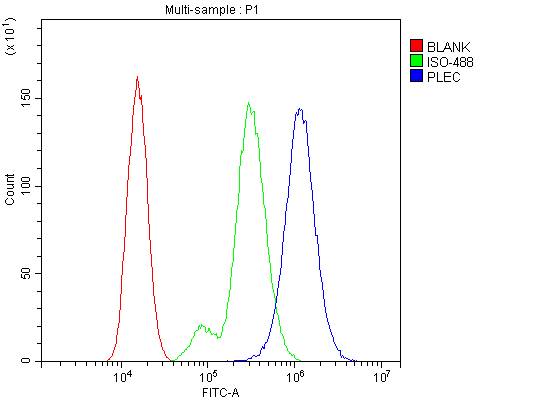 PLEC / Plectin Antibody - Flow Cytometry analysis of PC-3 cells using anti-Plectin antibody. Overlay histogram showing PC-3 cells stained with anti-Plectin antibody (Blue line). The cells were blocked with 10% normal goat serum. And then incubated with rabbit anti-Plectin Antibody (1µg/10E6 cells) for 30 min at 20°C. DyLight®488 conjugated goat anti-rabbit IgG (5-10µg/10E6 cells) was used as secondary antibody for 30 minutes at 20°C. Isotype control antibody (Green line) was rabbit IgG (1µg/10E6 cells) used under the same conditions. Unlabelled sample (Red line) was also used as a control.