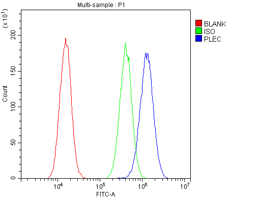 PLEC / Plectin Antibody - Flow Cytometry analysis of A549 cells using anti-Plectin antibody. Overlay histogram showing A549 cells stained with anti-Plectin antibody (Blue line). The cells were blocked with 10% normal goat serum. And then incubated with rabbit anti-Plectin Antibody (1µg/10E6 cells) for 30 min at 20°C. DyLight®488 conjugated goat anti-rabbit IgG (5-10µg/10E6 cells) was used as secondary antibody for 30 minutes at 20°C. Isotype control antibody (Green line) was rabbit IgG (1µg/10E6 cells) used under the same conditions. Unlabelled sample (Red line) was also used as a control.