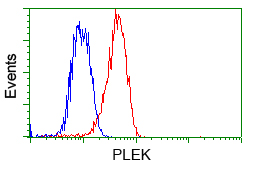 PLEK / Pleckstrin Antibody - Flow cytometry of Jurkat cells, using anti-PLEK antibody, (Red) compared to a nonspecific negative control antibody (Blue).