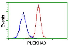 PLEKHA3 Antibody - Flow cytometry of HeLa cells, using anti-PLEKHA3 antibody (Red), compared to a nonspecific negative control antibody (Blue).